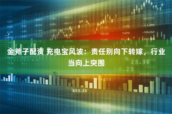 金斧子配资 充电宝风波：责任别向下转嫁，行业当向上突围