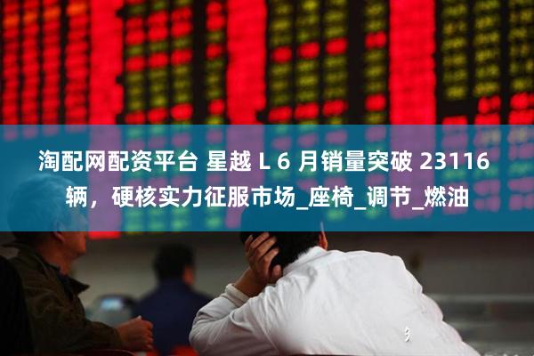 淘配网配资平台 星越 L 6 月销量突破 23116 辆，硬核实力征服市场_座椅_调节_燃油