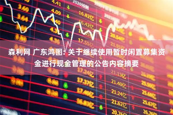 森利网 广东鸿图: 关于继续使用暂时闲置募集资金进行现金管理的公告内容摘要