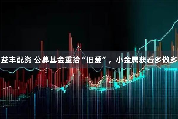 益丰配资 公募基金重拾“旧爱”，小金属获看多做多